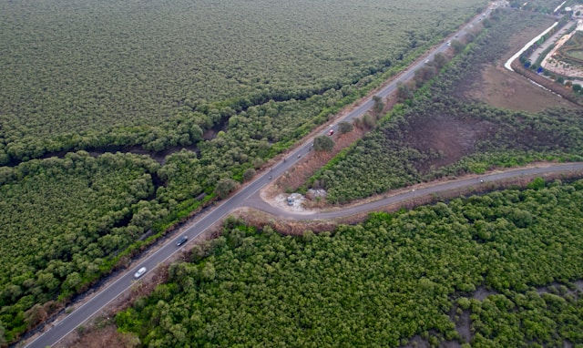 Sometimes a character’s decision points veer off my carefully planned trip. A road running through a forested area with a curved offshoot.